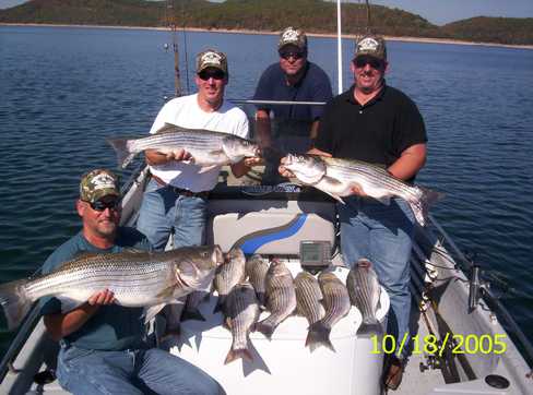 Nice Striped Bass