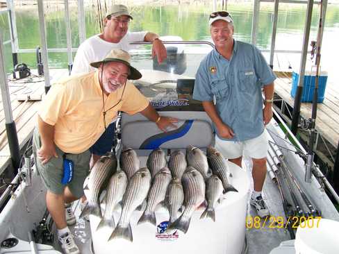 Nice Striped Bass