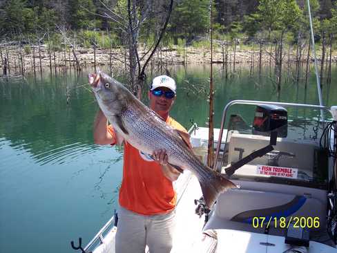 Nice Striped Bass