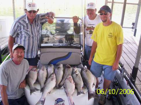 Nice Striped Bass