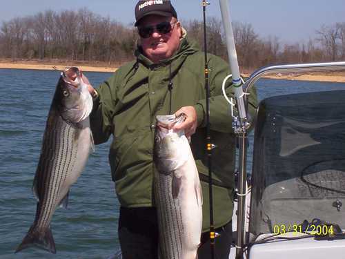 Nice Striped Bass