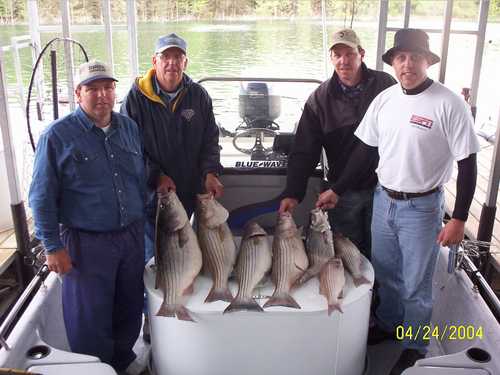 Excellent Striper Fishing