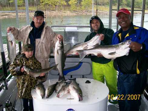 Nice Striped Bass