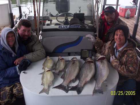 Nice Striped Bass