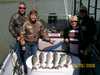 (04/26/2008) - Nice Striped Bass