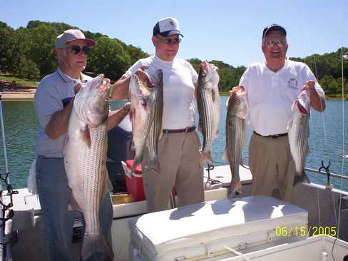 Nice Striped Bass