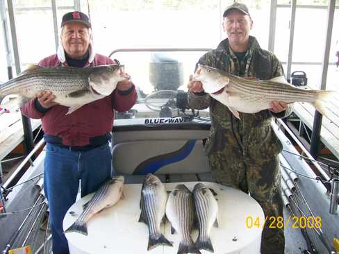 Nice Striped Bass