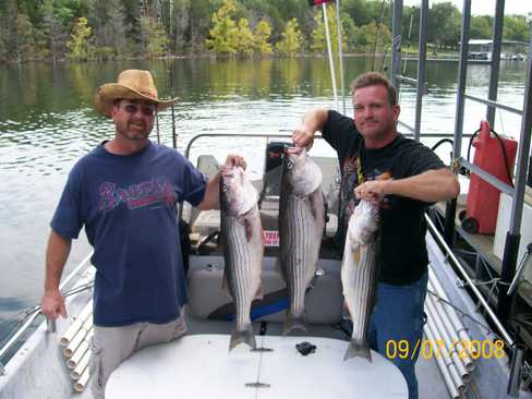 Nice Striped Bass