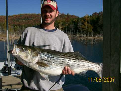 Nice Striped Bass