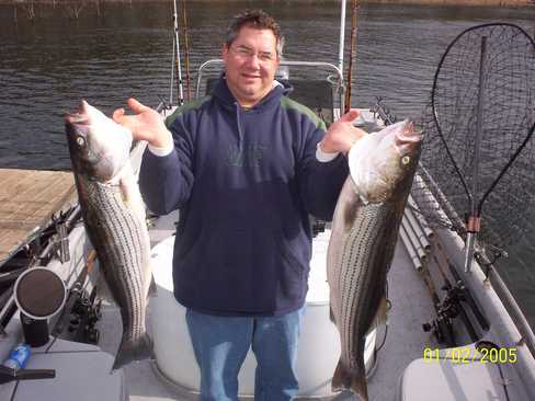 Nice Striped Bass