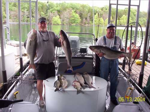 Nice Striped Bass