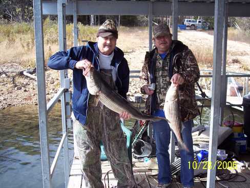 Nice Striped Bass