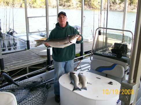 Nice Striped Bass