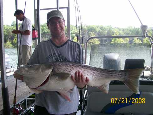 Nice Striped Bass