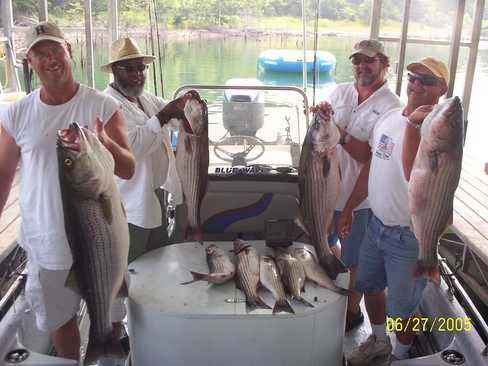 Nice Striped Bass