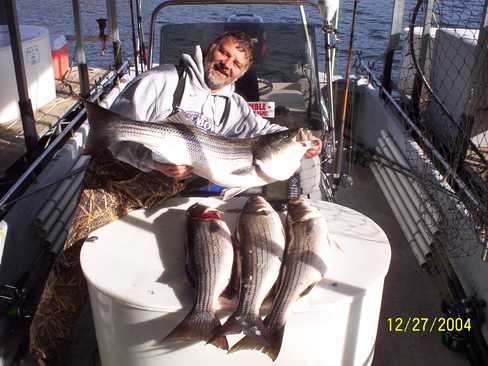 Nice Striped Bass