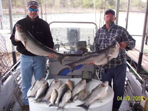 Nice Striped Bass