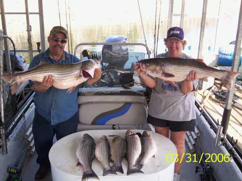 Nice Striped Bass