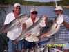 (08/27/2005) - Nice Striped Bass