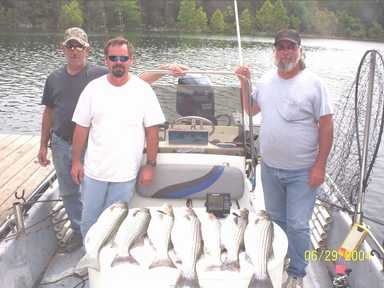 Nice Striped Bass