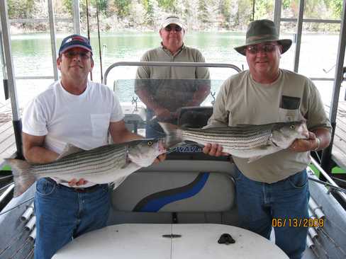 Nice Striped Bass