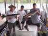 (05/23/2004) - Nice Striped Bass