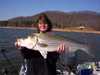 (12/03/2004) - Nice Striped Bass