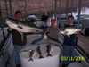 (03/11/2006) - Nice Striped Bass