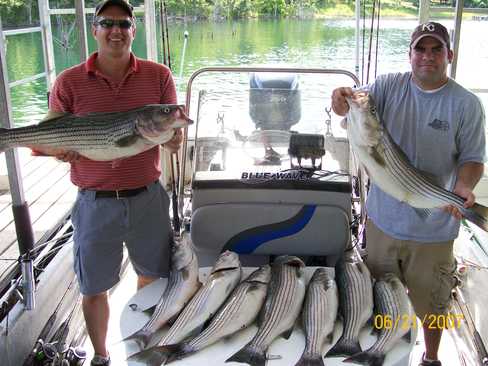 Nice Striped Bass