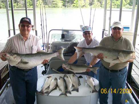 Nice Striped Bass