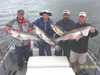 (08/28/2004) - Nice Striped Bass