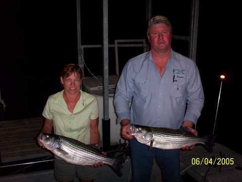 Nice Striped Bass