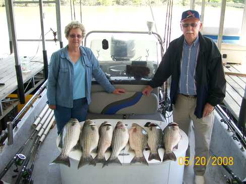 Nice Striped Bass