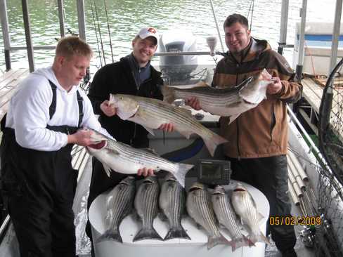 Nice Striped Bass