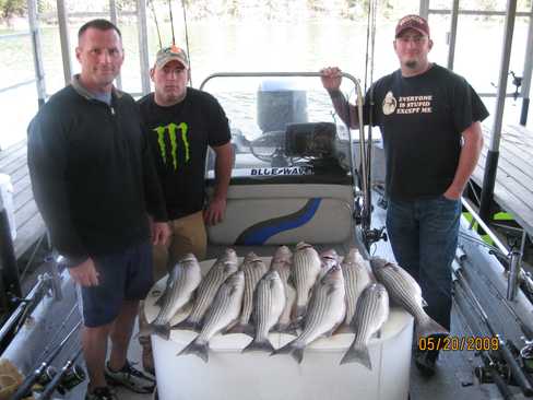 Nice Striped Bass