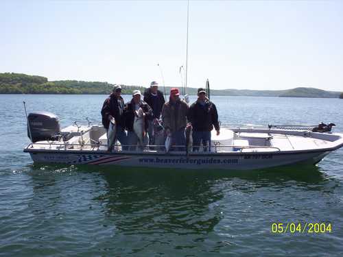 Nice Striped Bass