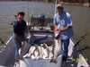 (04/16/2004) - Nice Striped Bass