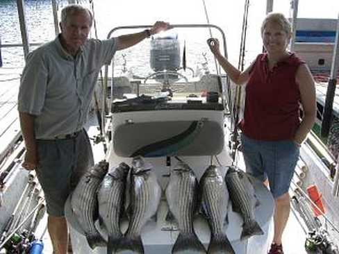 Nice Striped Bass