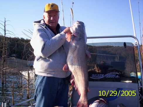 Nice Striped Bass