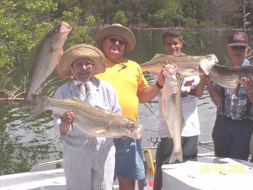 Nice Striped Bass