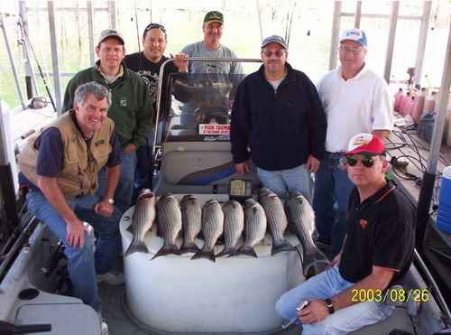 Nice mess of Stripers