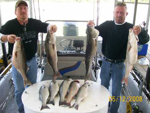 Nice Striped Bass
