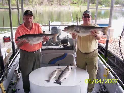 Nice Striped Bass