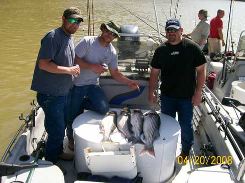 Nice Striped Bass