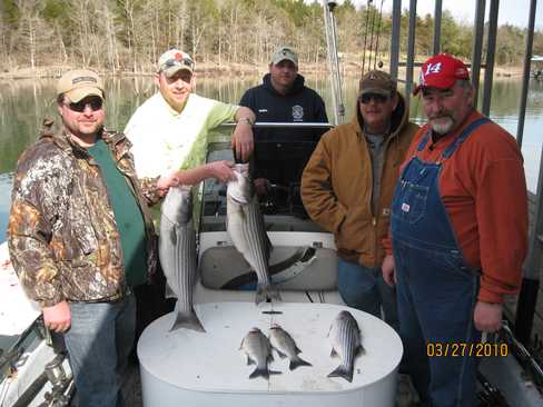 Nice Striped Bass