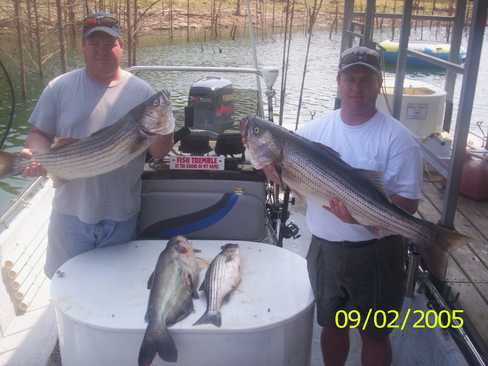 Nice Striped Bass