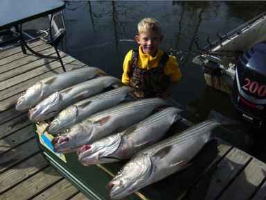 Striper fishing at it's best