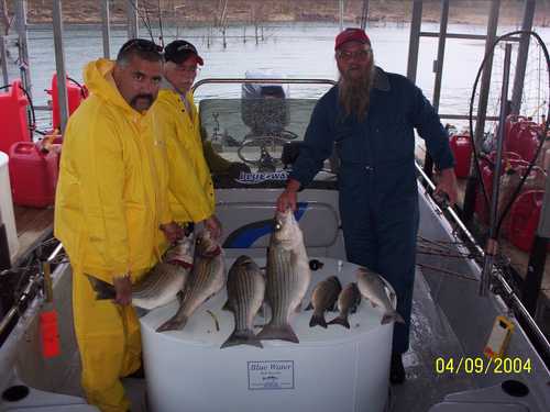 Nice Striped Bass