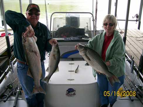 Nice Striped Bass