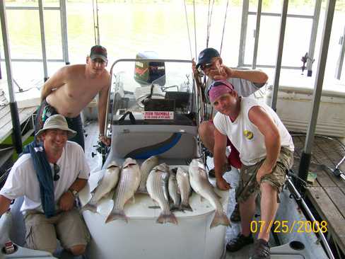 Nice Striped Bass